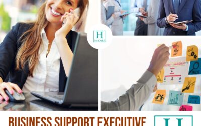 Business Support Executive